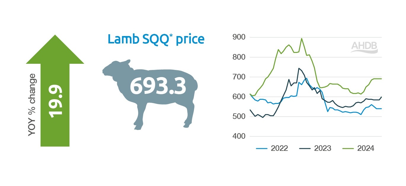 GB Lamb SQQ price 2024